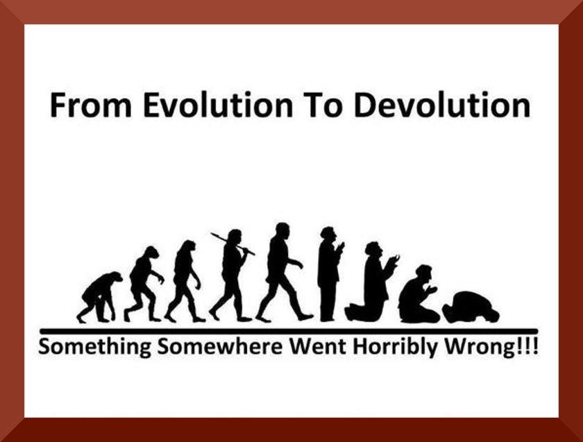 evolution to devolution.jpg