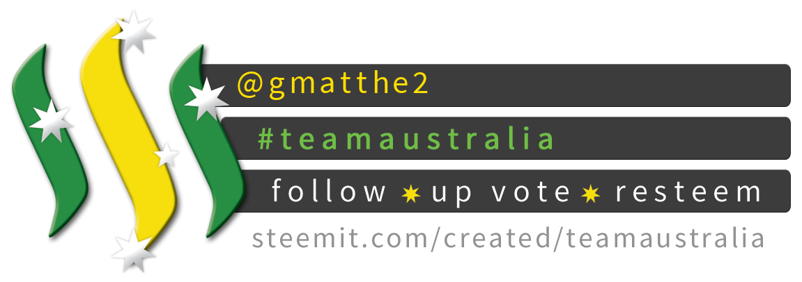 TeamAustralia Compact Banner