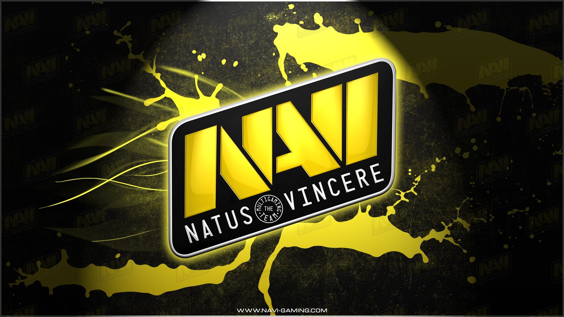 Navi Dota 2 Roster For Season 20172018