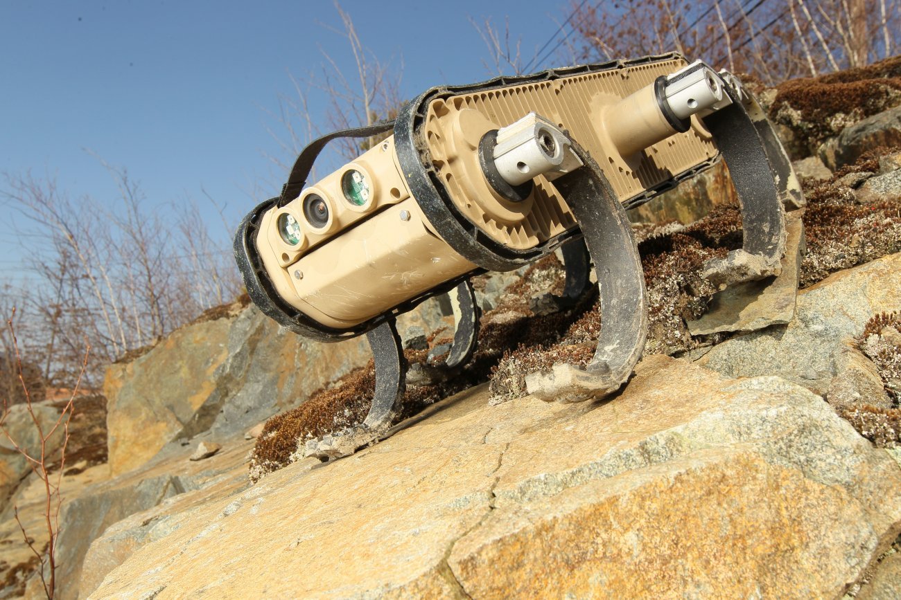 RHex-BostonDynamics2.JPG