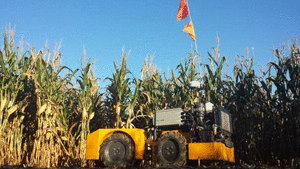 picasion.com_9fdfa2f456251a4d9a81894a5b86e299.gif