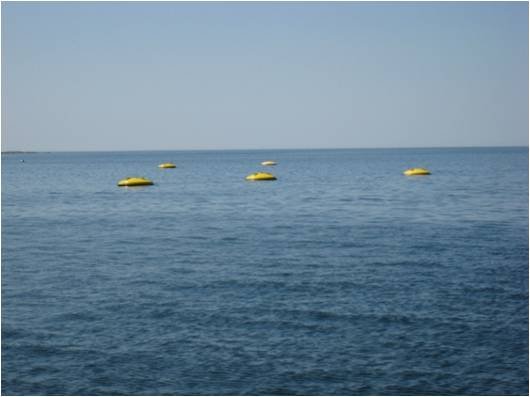 Seabased-AB-2.jpg
