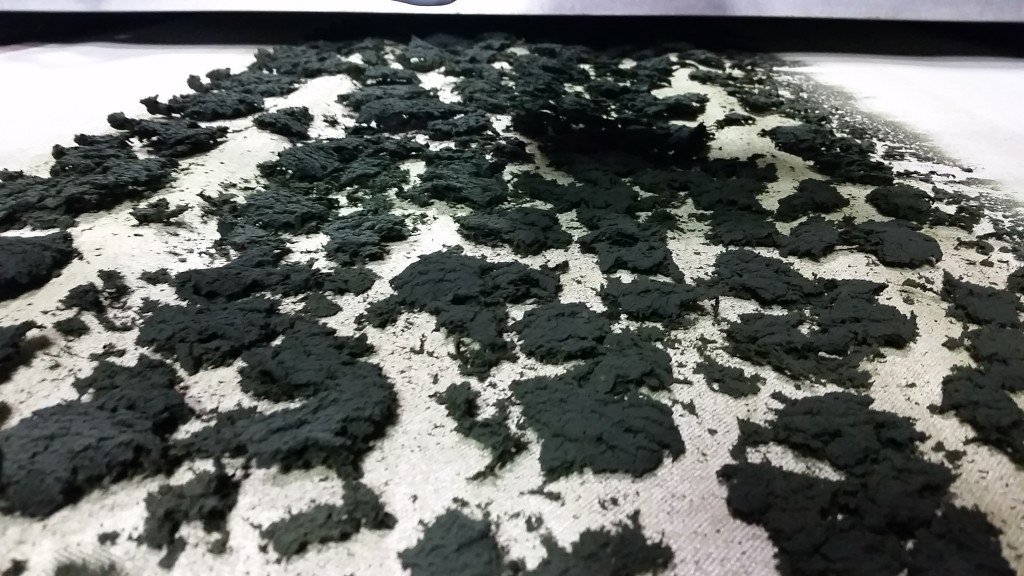 dry-algae-off-MW-1024x576.jpg