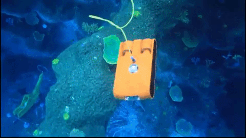 Animated GIF-source (10).gif