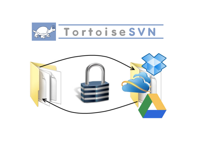 tortoise.png