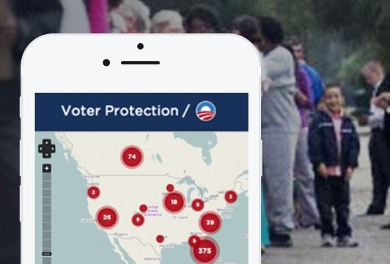 voter.jpg