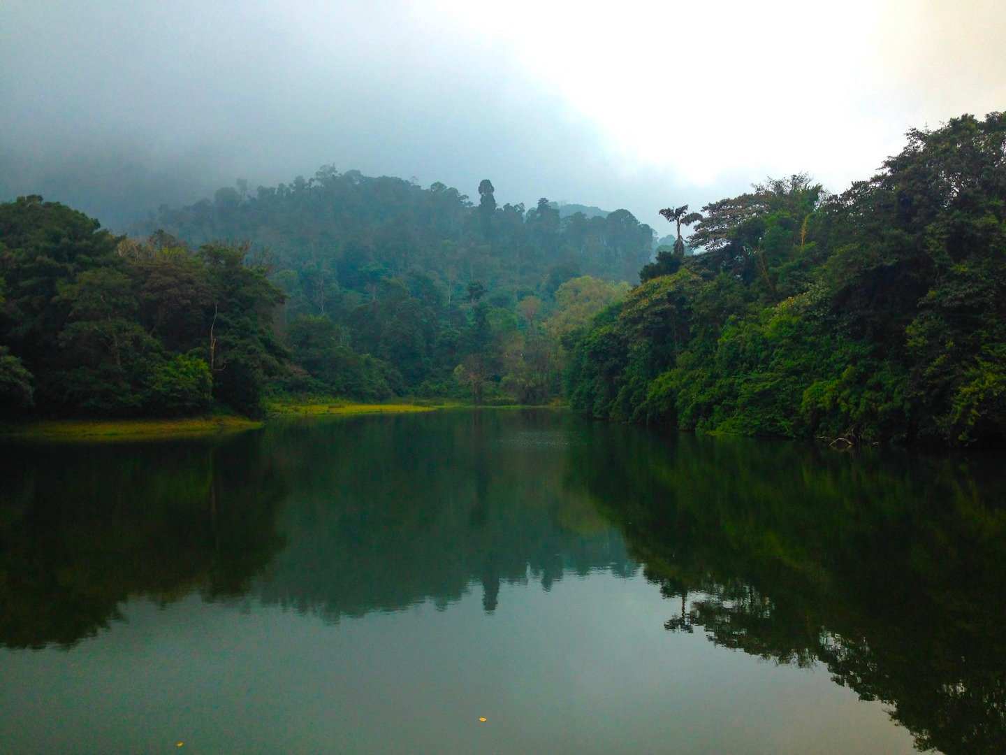 lakecoorg