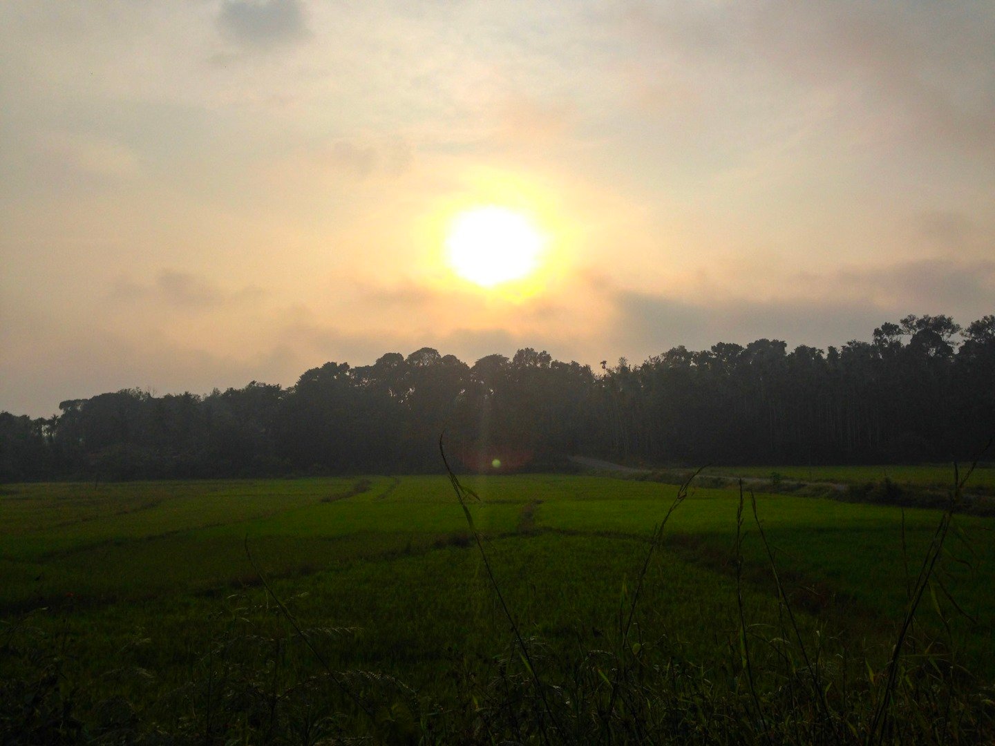 roadcoorg