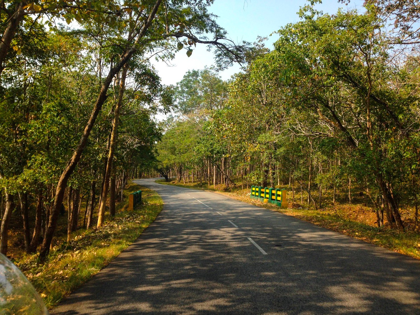 bandipurroad