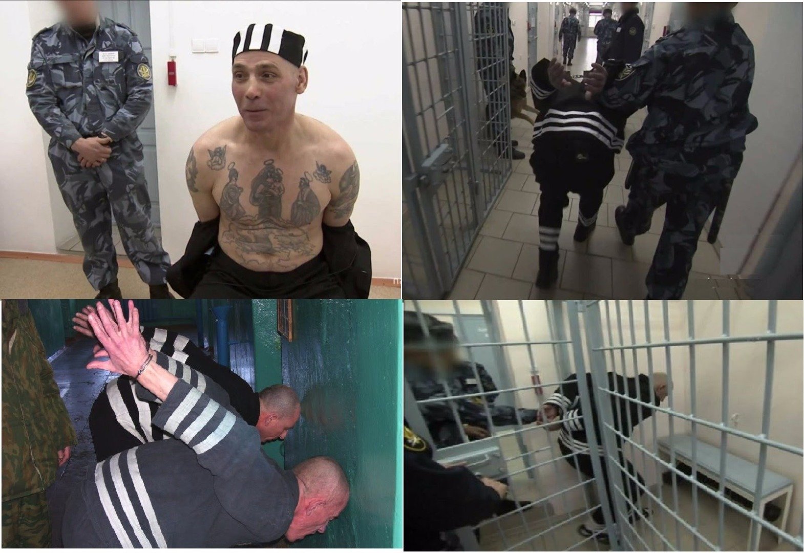 Colony of the special regime Black Berkut: photo, where is it Colony of the special regime Black Berkut: photo, where is it