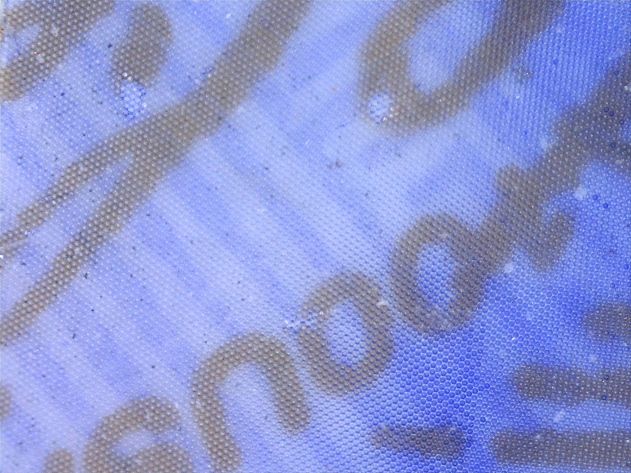 microscope4