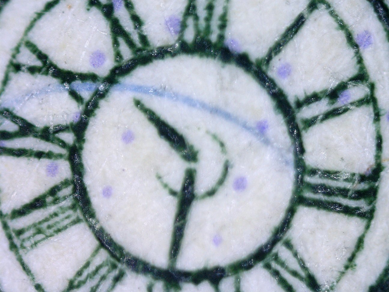 microscope2