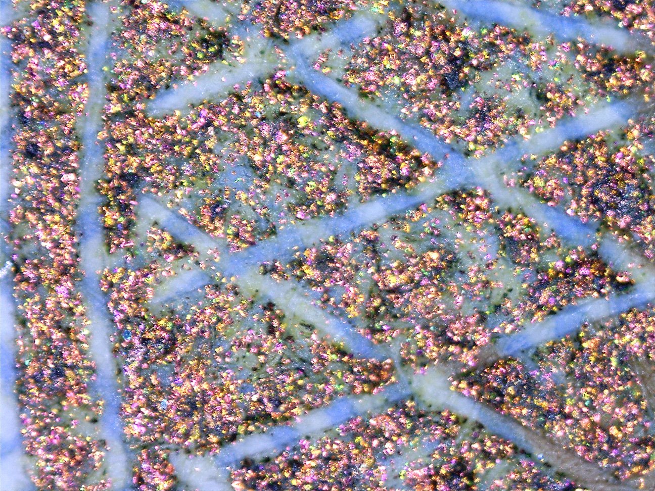 microscope10
