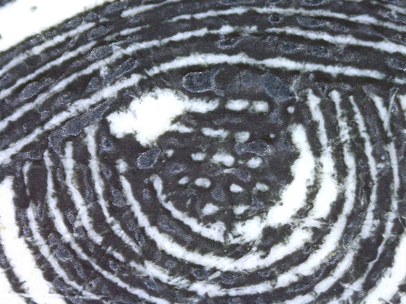 microscope6