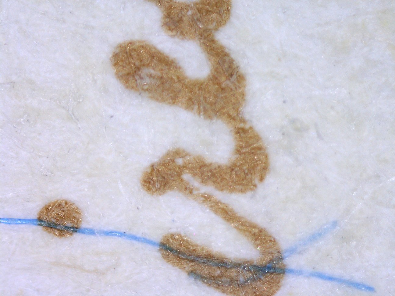 microscope13