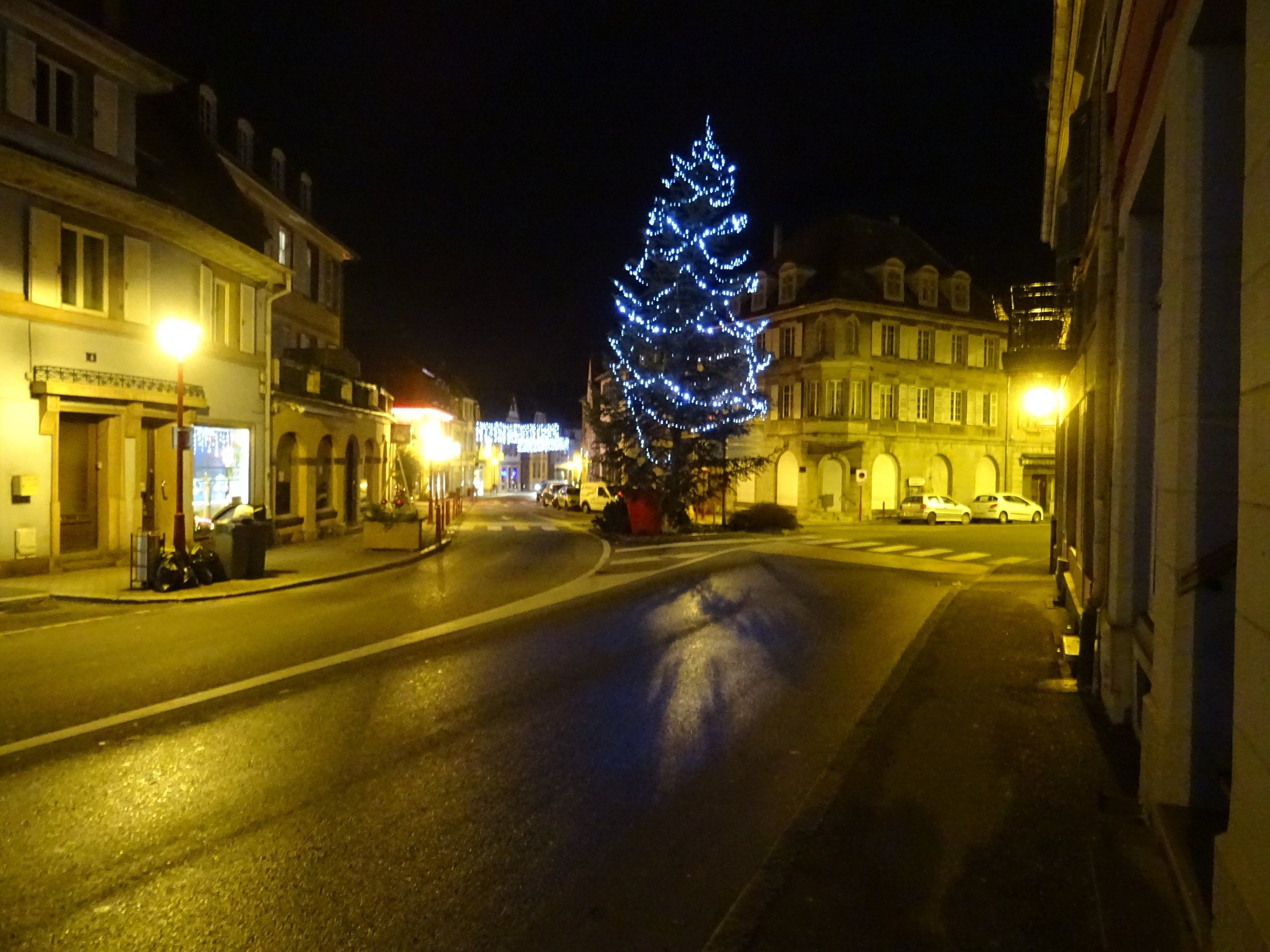Arbre du croisement