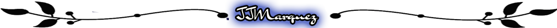 separador texto 22.png