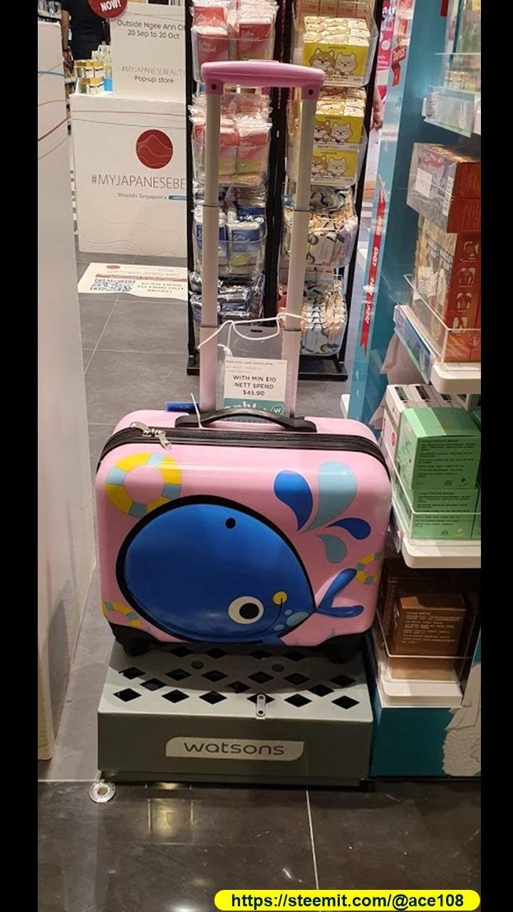 Whale luggage