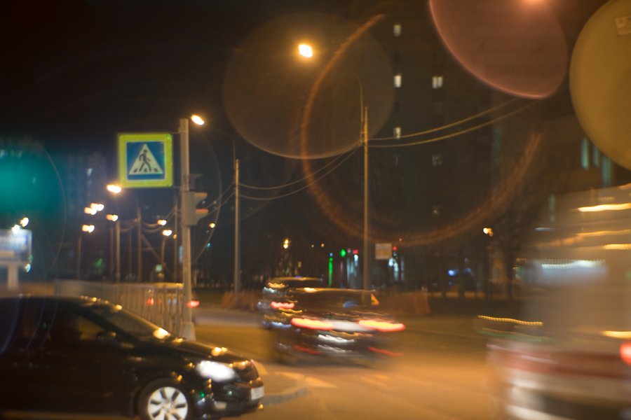 DSC02155.jpg