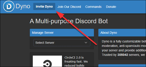 Dyno Bot Best Bot For Discord