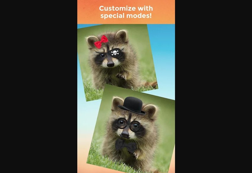talkingpet4.jpg