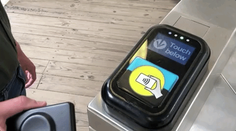 giphy.gif