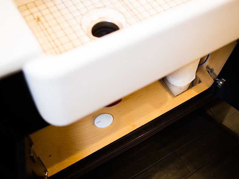 Roost Detector - Smart Water Leak and Freeze Detector Steemhunt