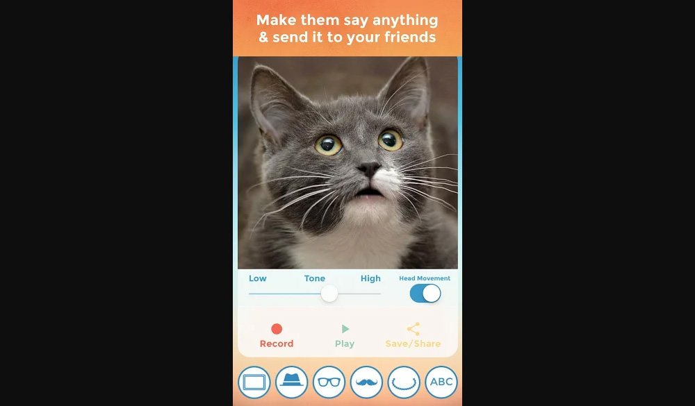 talkingpet3.jpg