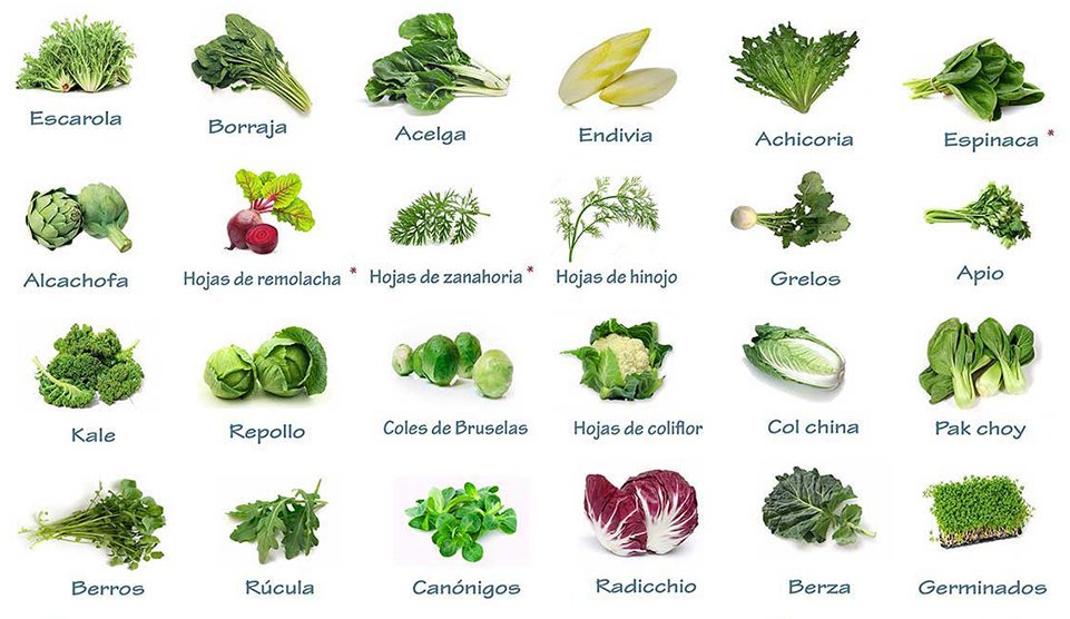 Conoces La Diferencia Entre Verduras Hortalizas Vegetales Y Frutas Mysexiz Pix 3406