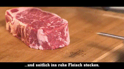giphy_2.gif