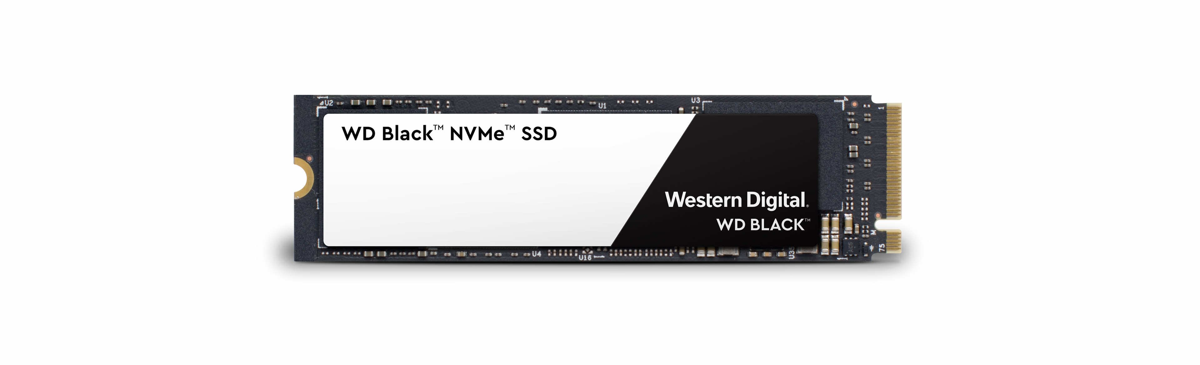 SSD1.jpg