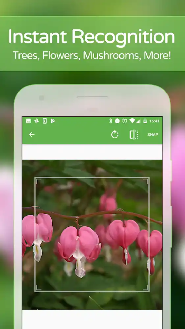 Screenshot_20180609-053319.png