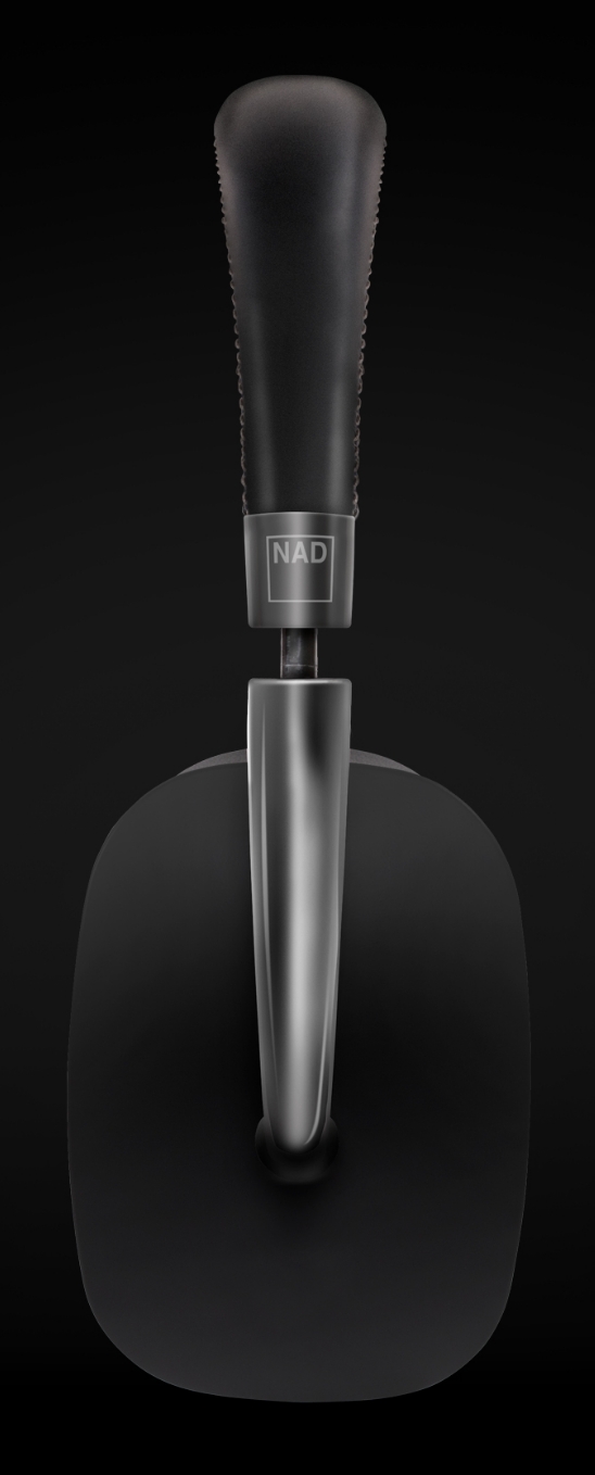 NAD2.png