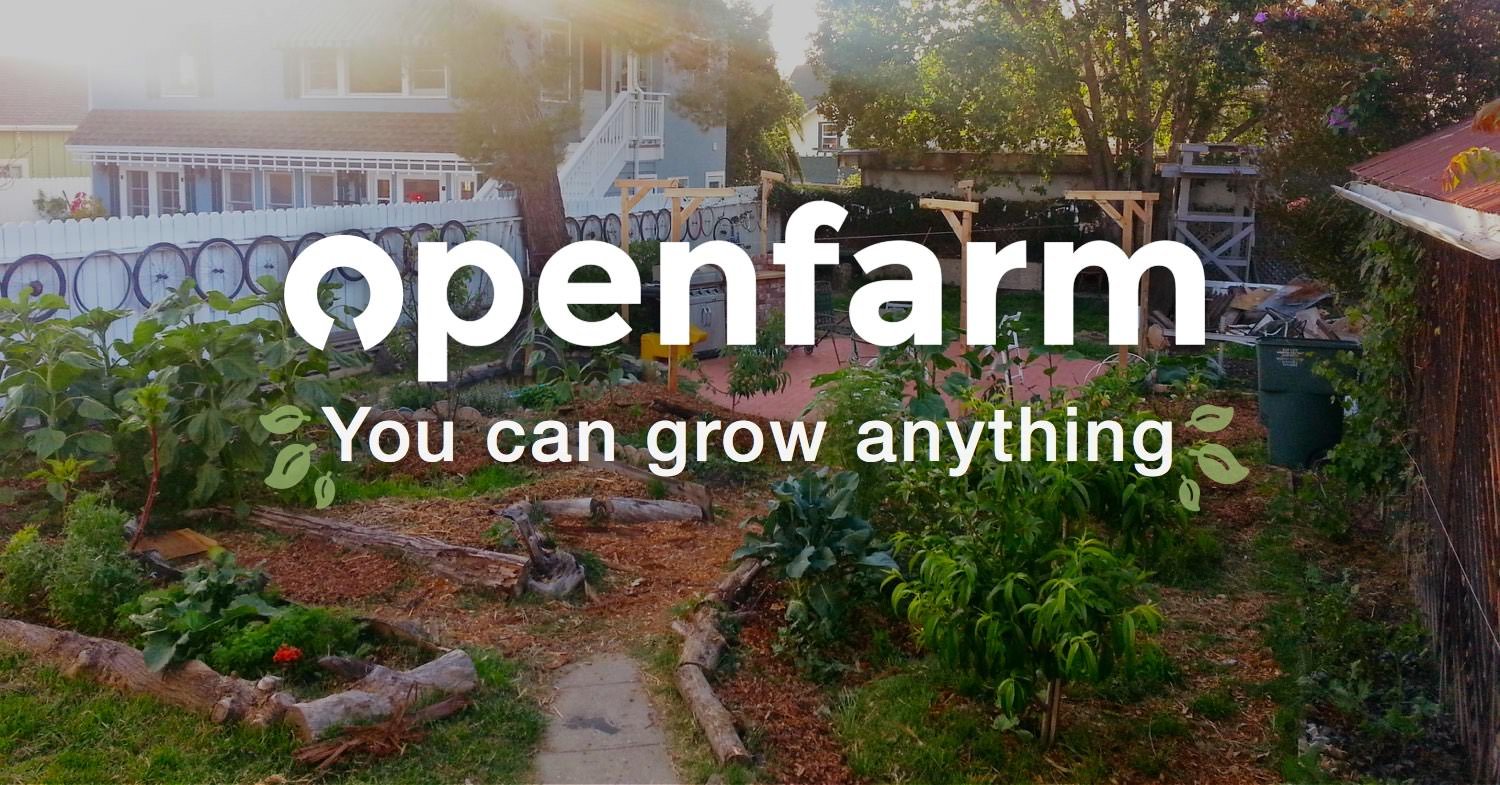 openfarm-learn-to-grow-anything-with-community-created-guides-e31b7dadd9924f1f1048cfcb010c3ac5386aa9e148333dde0a8e97212dc6e326.jpg