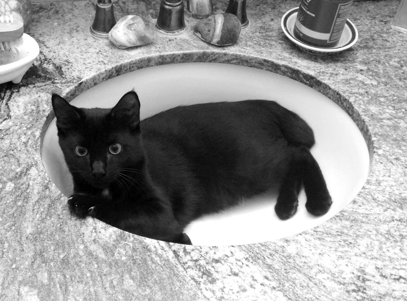 Sink