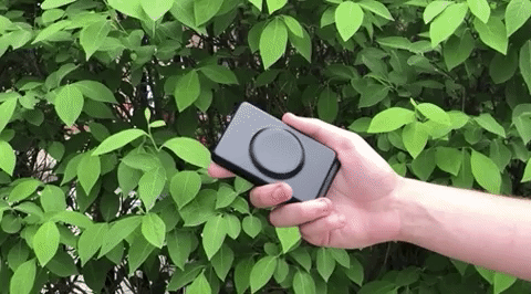 giphy (4).gif