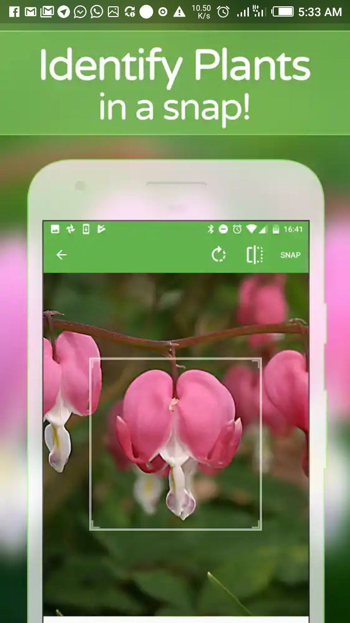 Screenshot_20180609-053325.png