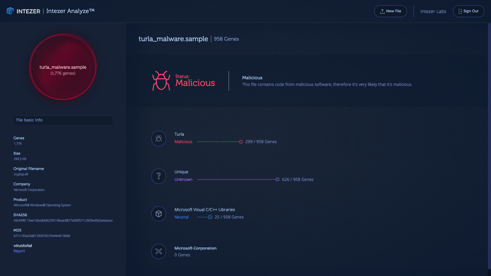 Analyze-malicious.png