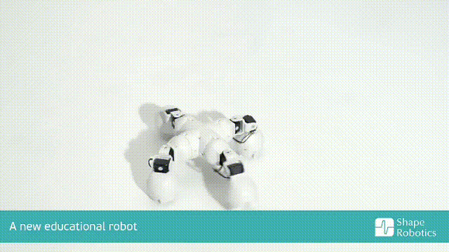 Video_20180727140722502_by_videoshow[1].gif