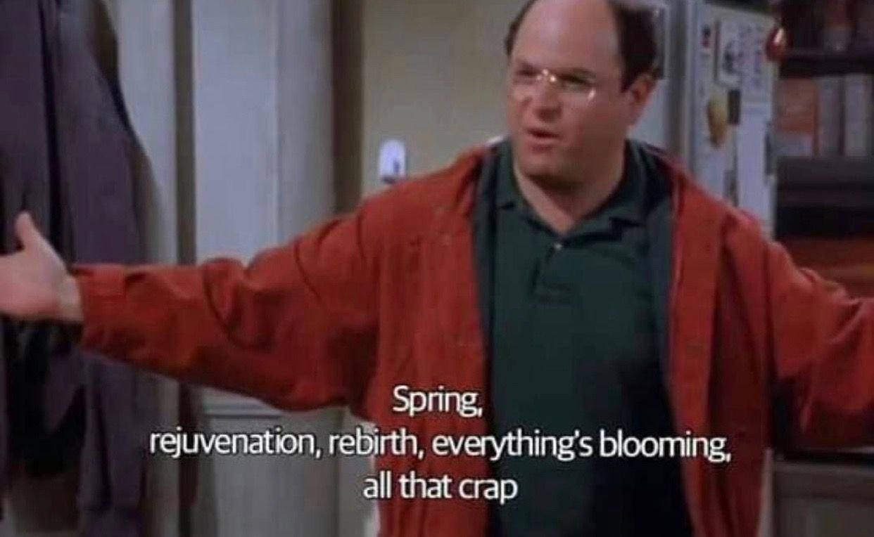 Image result for seinfeld spring rejuvenation clip