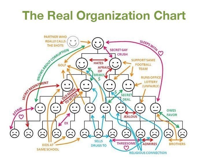 organisational structure