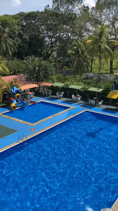 VID-20250912-WA0048.gif