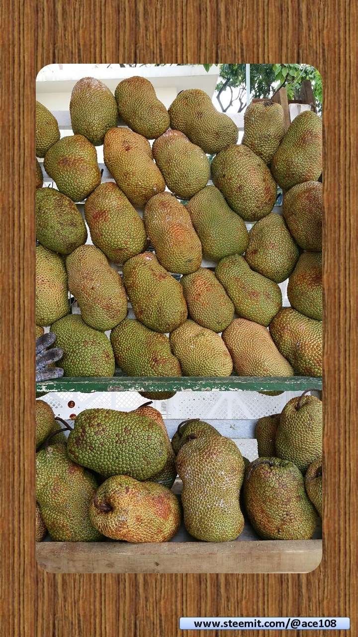 Durian13