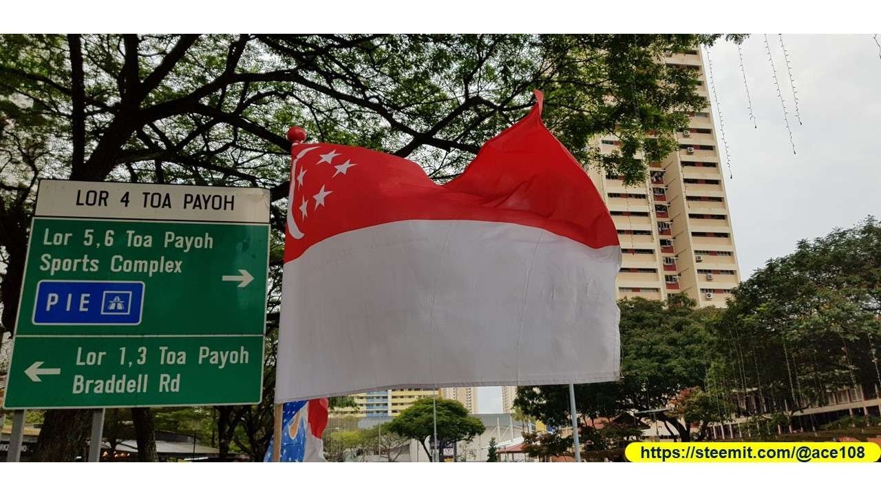 Singapore Flag