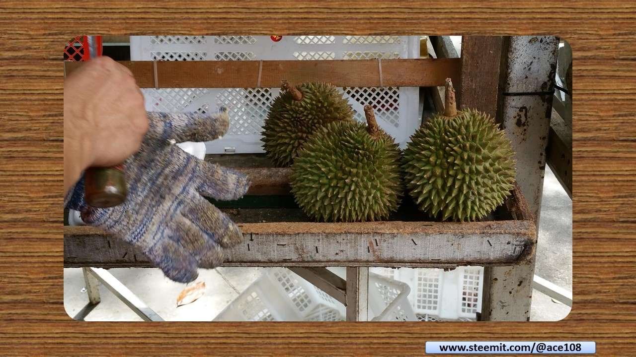 Durian08