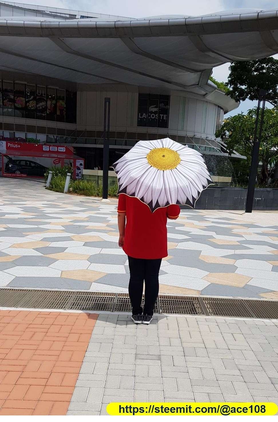 Umbrella