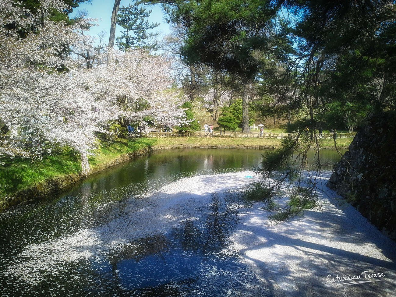 hirosaki07