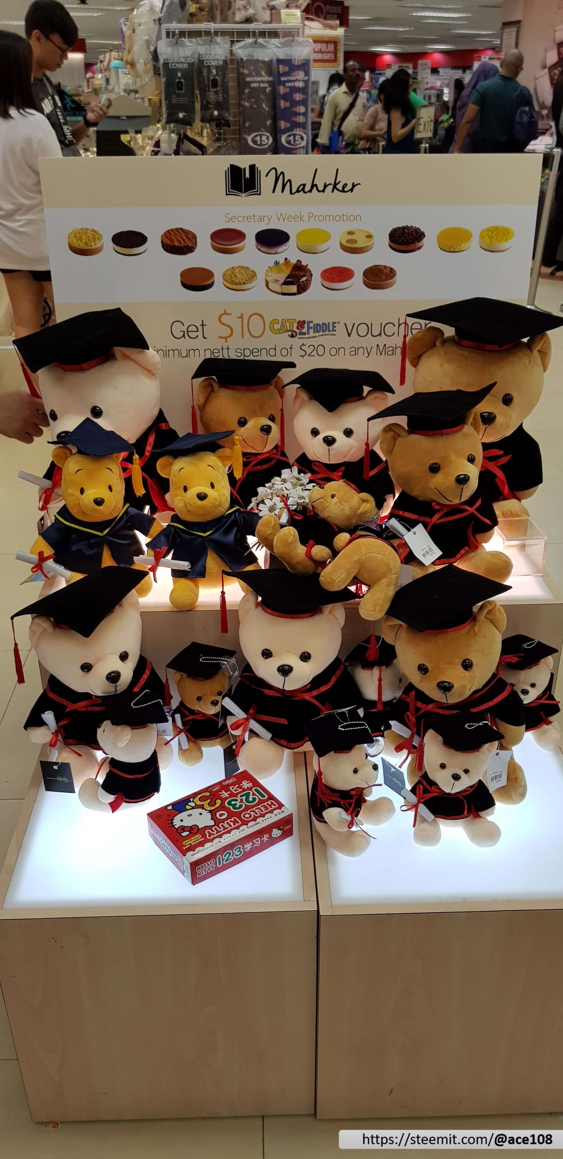 Graduation Bear