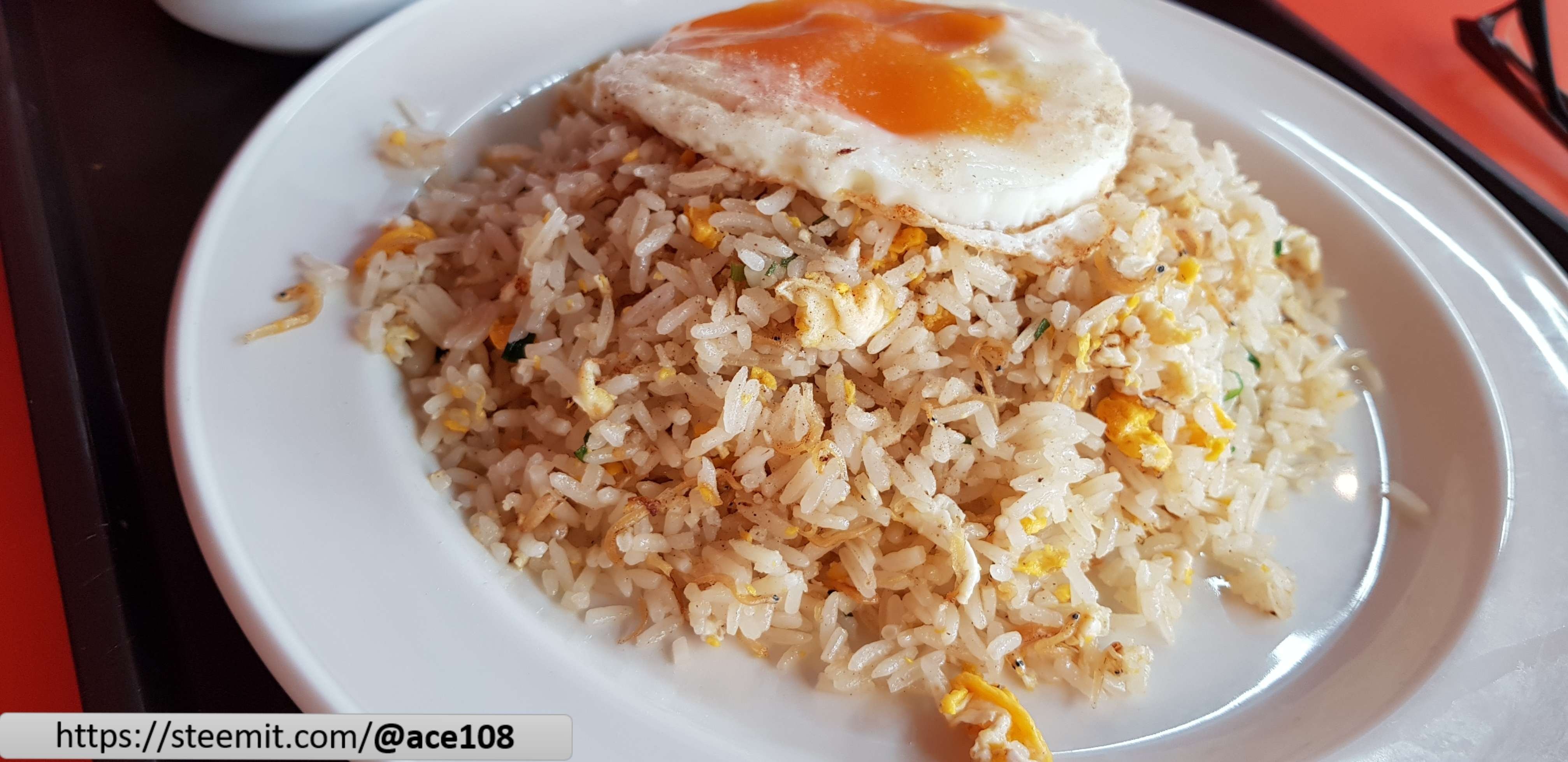 Fried rice closer