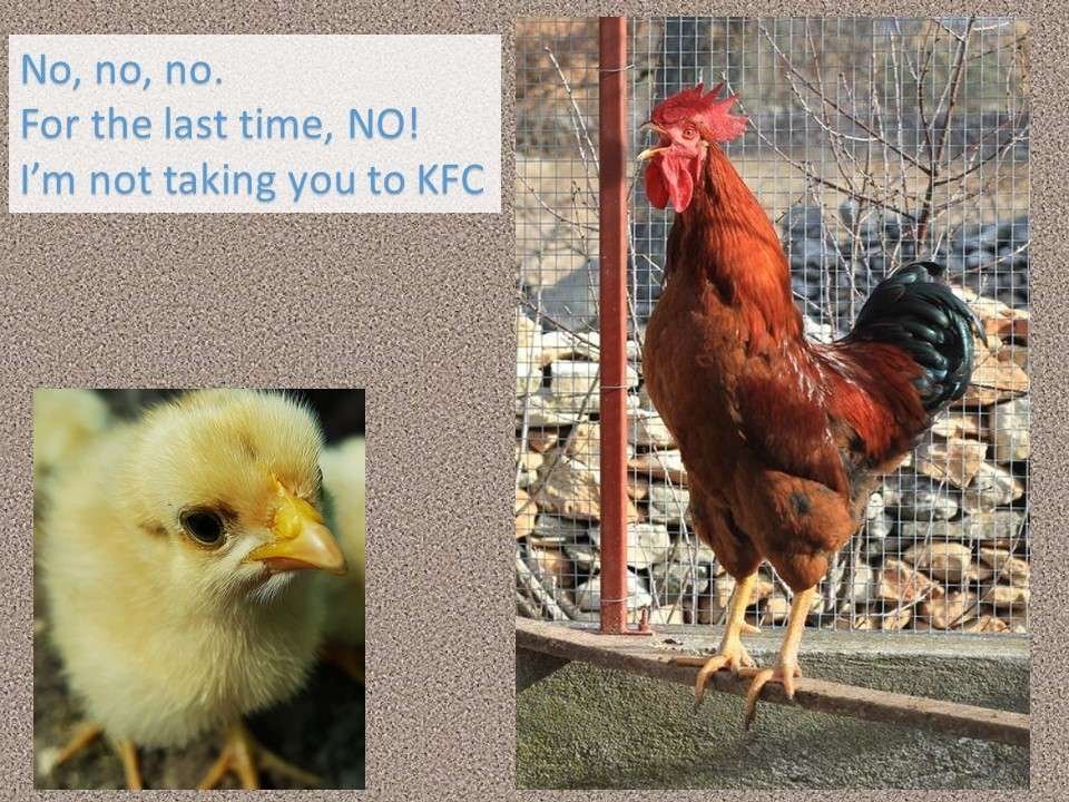 NoKFC